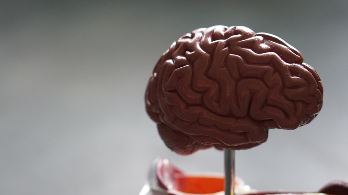 brain fog causes and solutions — how to restore mental clarity naturally