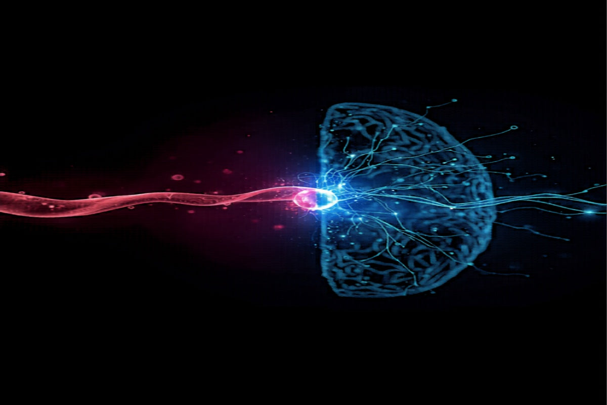 Methylene blue molecule crossing the blood-brain barrier — neuroscience illustration
