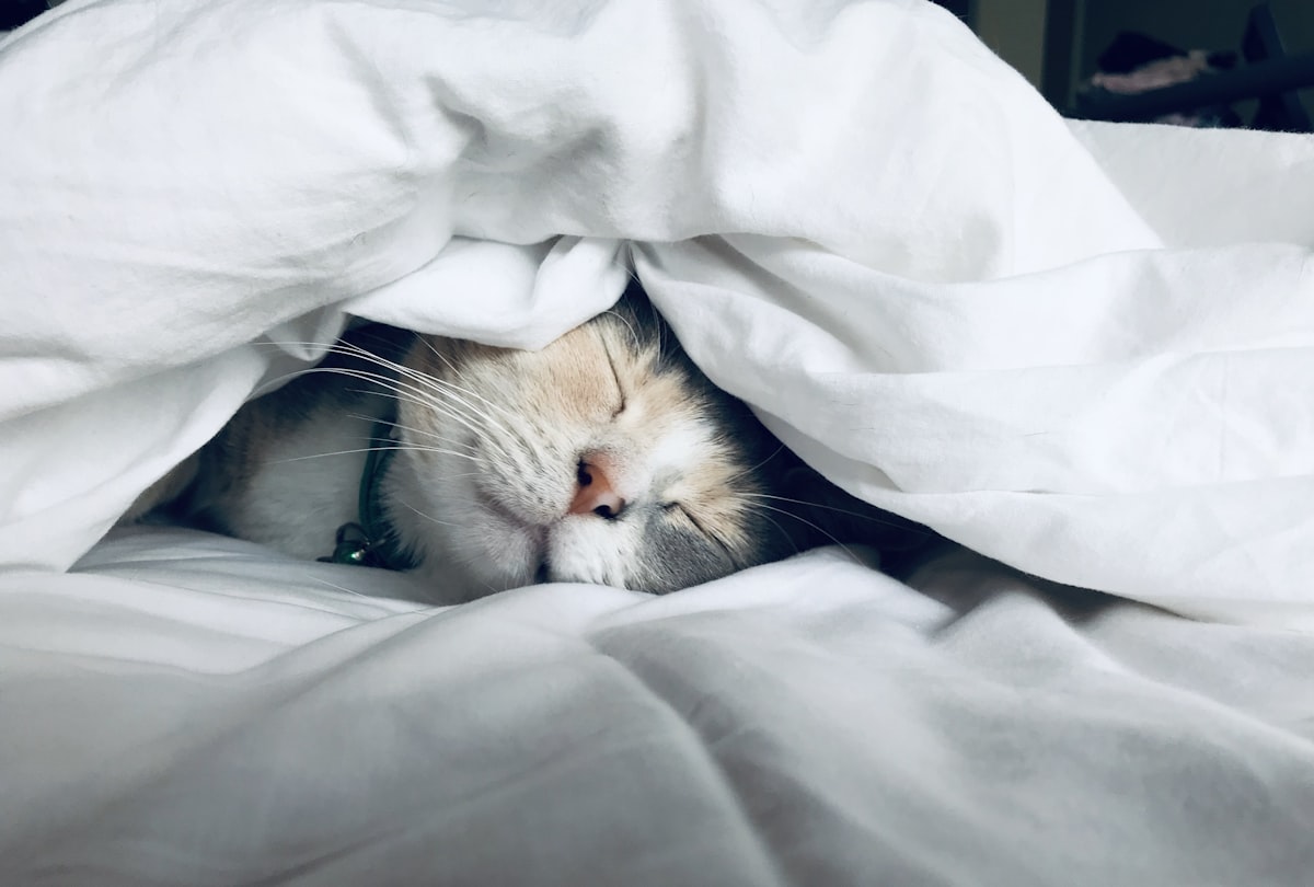 natural sleep supplements — pharmacist-approved guide to better sleep quality